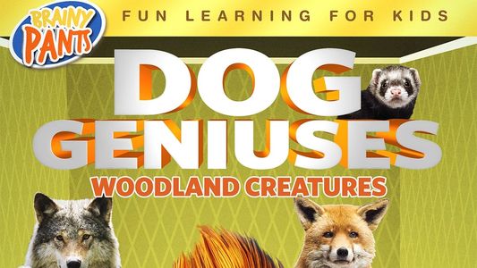 Dog Geniuses: Woodland Creatures