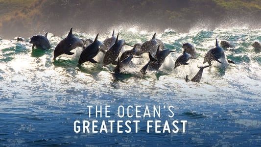 Image The Ocean’s Greatest Feast