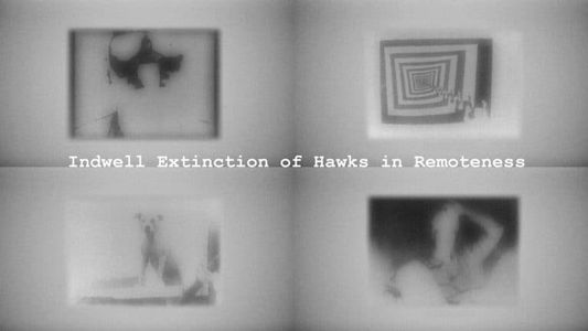 Image Indwell Extinction of Hawks in Remoteness