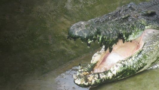 Man-Eating Super Croc