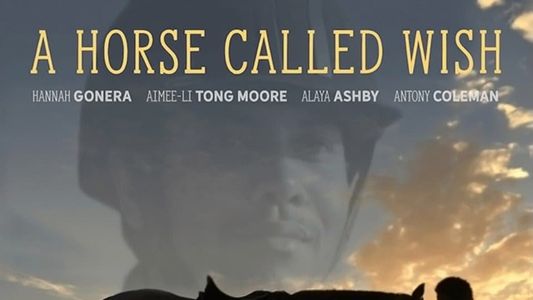 A Horse Called Wish