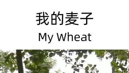 Image My Wheat