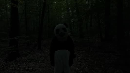 The Wild Panda