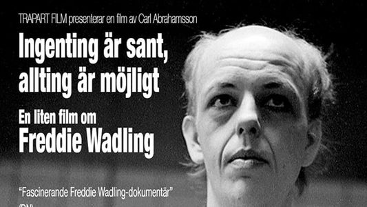 Ingenting är sant, allting är möjligt – en liten film om Freddie Wadling