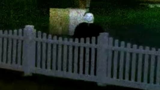 Image The Lost Footage of Michael Myers