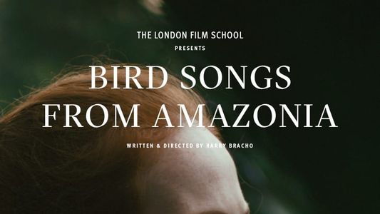 Bird Songs from Amazonia