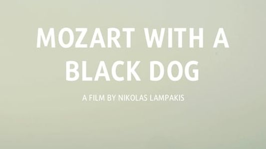 O Μότσαρτ μ' ένα μαύρο σκύλο
