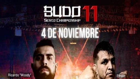 Budo Sento Championship 11