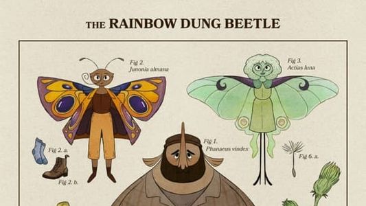 The Rainbow Dung Beetle