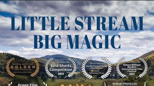 Image Little Stream, Big Magic