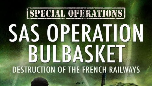 SAS Operation Bulbasket: Part 2 - Destruction of the French railways
