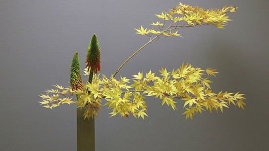 Image Ikebana