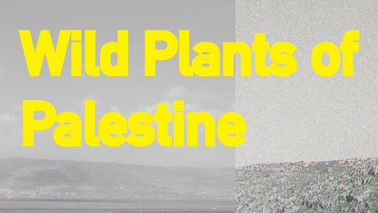 Image Wild Plants of Palestine