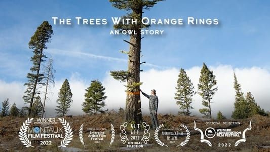 Image The Trees with Orange Rings