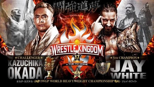Image NJPW Wrestle Kingdom 17