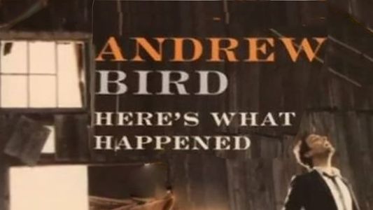 Andrew Bird: Here's What Happened