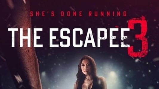 The Escapee 3: The Final Escape
