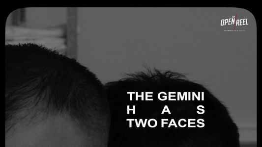 The Gemini Has Two Faces