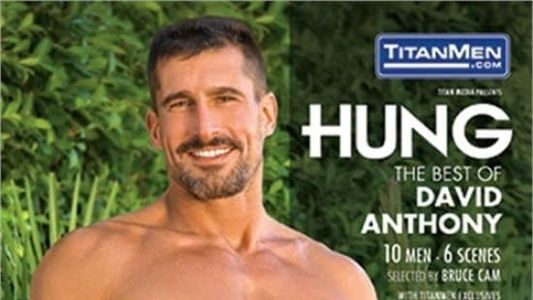 Hung: The Best Of David Anthony