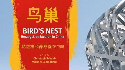 Image Bird's Nest - Herzog & de Meuron in China
