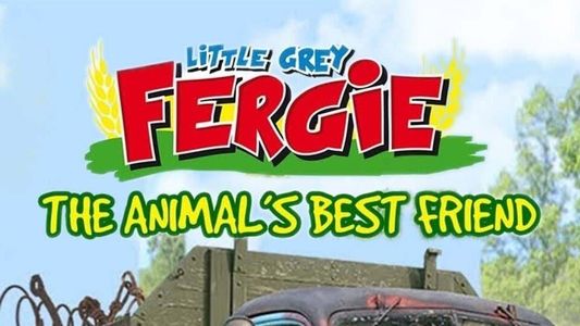 Petite grise Fergie : Le meilleur ami des animaux