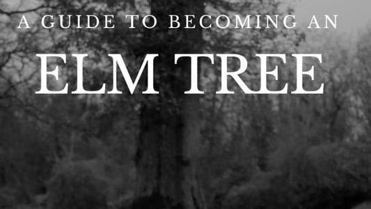 Image A Guide to Becoming an Elm Tree