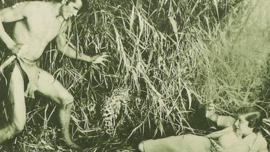 Image The New Adventures of Tarzan