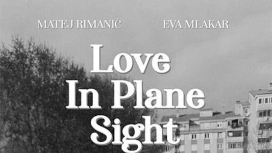 Image Love In Plane Sight