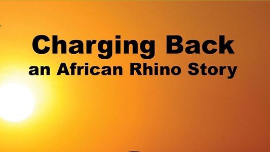 Image Charging Back: A Rhino Story