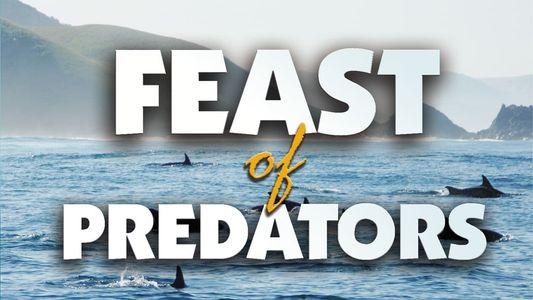 Feast of Predators