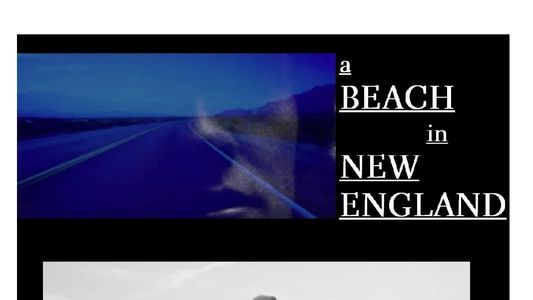 A Beach in New England