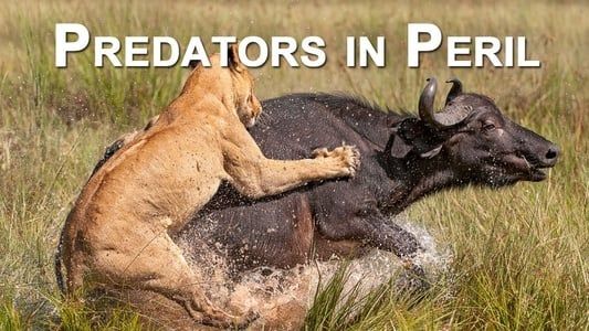 Image Predators in Peril