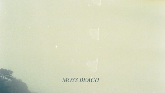 Image Moss Beach