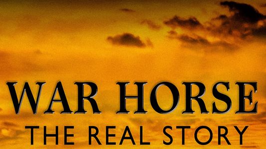 Image War Horse The Real Story