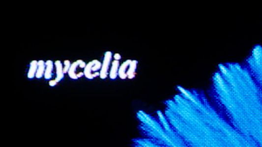 Image mycelia