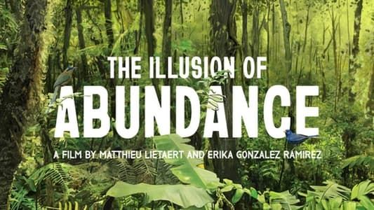 The Illusion of Abundance