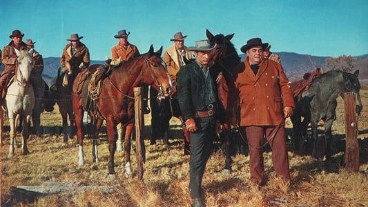 Les Ranchers du Wyoming