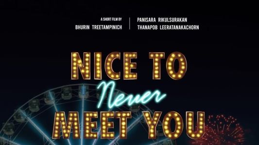 Nice To Never Meet You