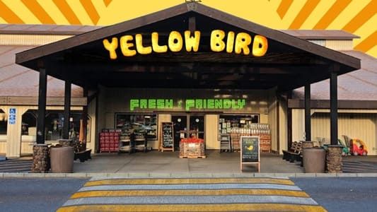 Image Yellow Bird