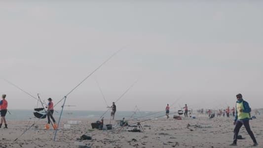 Image Fishing in Tunisia