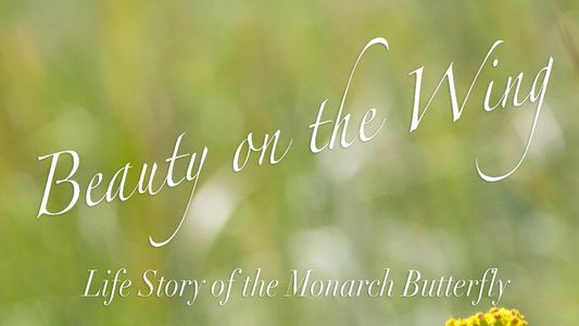 Image Beauty on the Wing: Life Story of the Monarch Butterfly