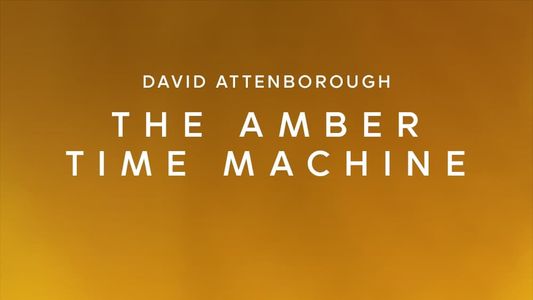 The Amber Time Machine