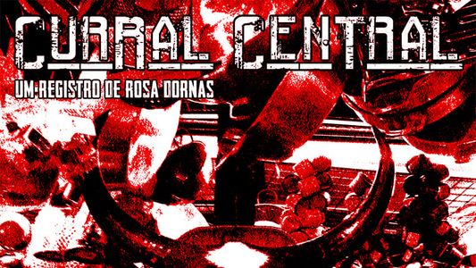 Image Curral Central