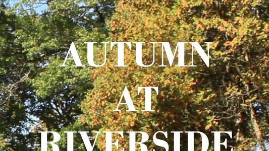 Autumn at Riverside Cemetery
