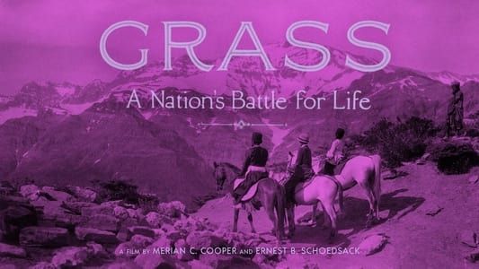 Image Grass: A Nation's Battle for Life