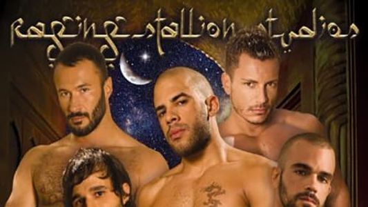Tales of the Arabian Nights 2