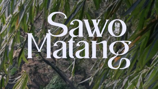 Sawo Matang