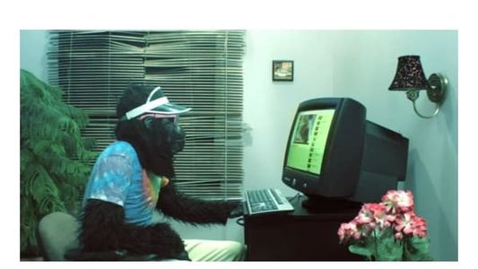 Peter's Computer - Gorilla Video