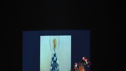 Pinea Silva: Lost Meanings of the Christmas Tree
