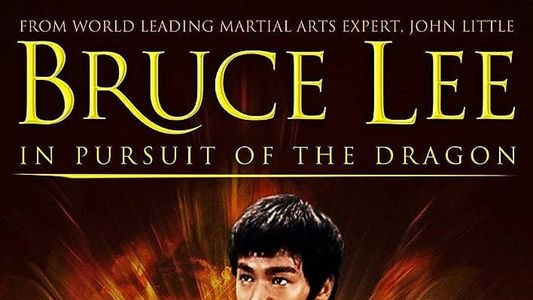 Bruce Lee : A la poursuite du dragon